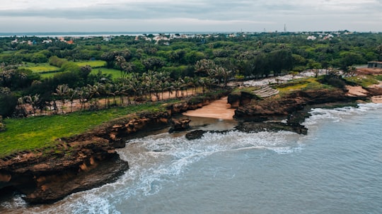 trees beside body of water in Diu India