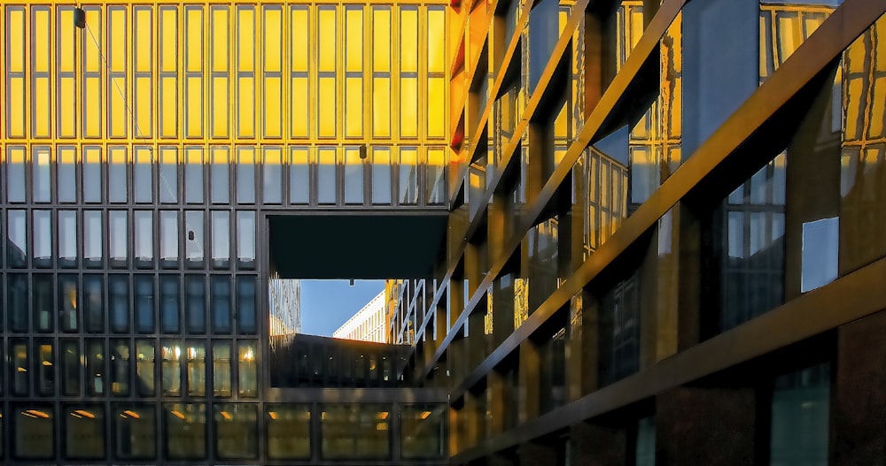 high-rise glass building during golden hour