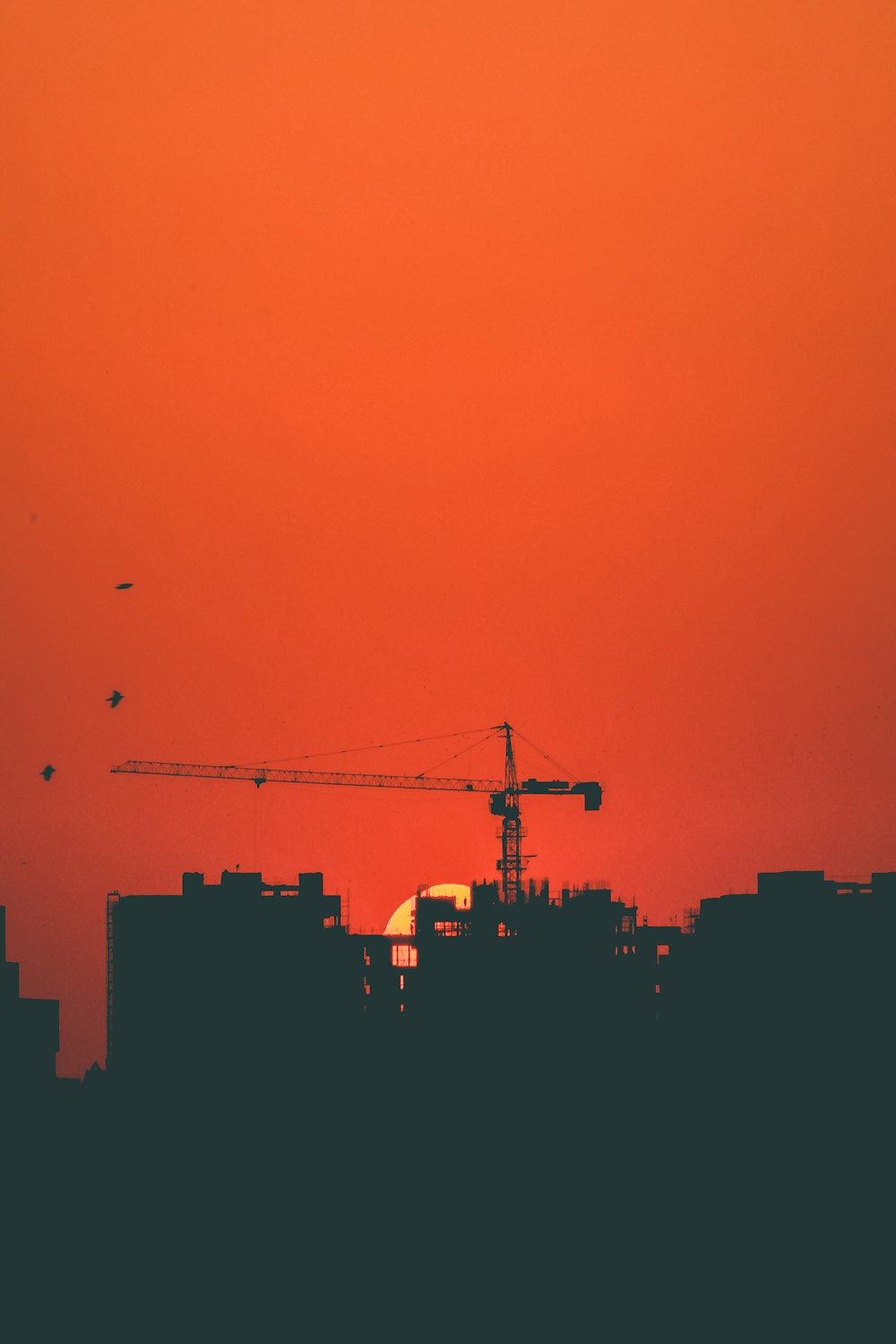 silhouette photography of tower crane over the buildings during golden hour