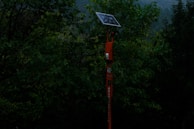 A tall pole equipped with a solar panel stands amidst dense greenery. The dark environment suggests a heavily wooded area. The pole appears orange with some text and possibly a device attached to it.