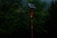 A tall pole equipped with a solar panel stands amidst dense greenery. The dark environment suggests a heavily wooded area. The pole appears orange with some text and possibly a device attached to it.