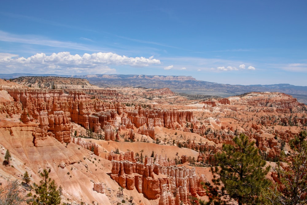 Arches National Park during daytime