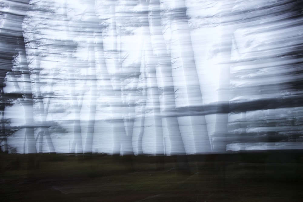 a blurry photo of a field with trees