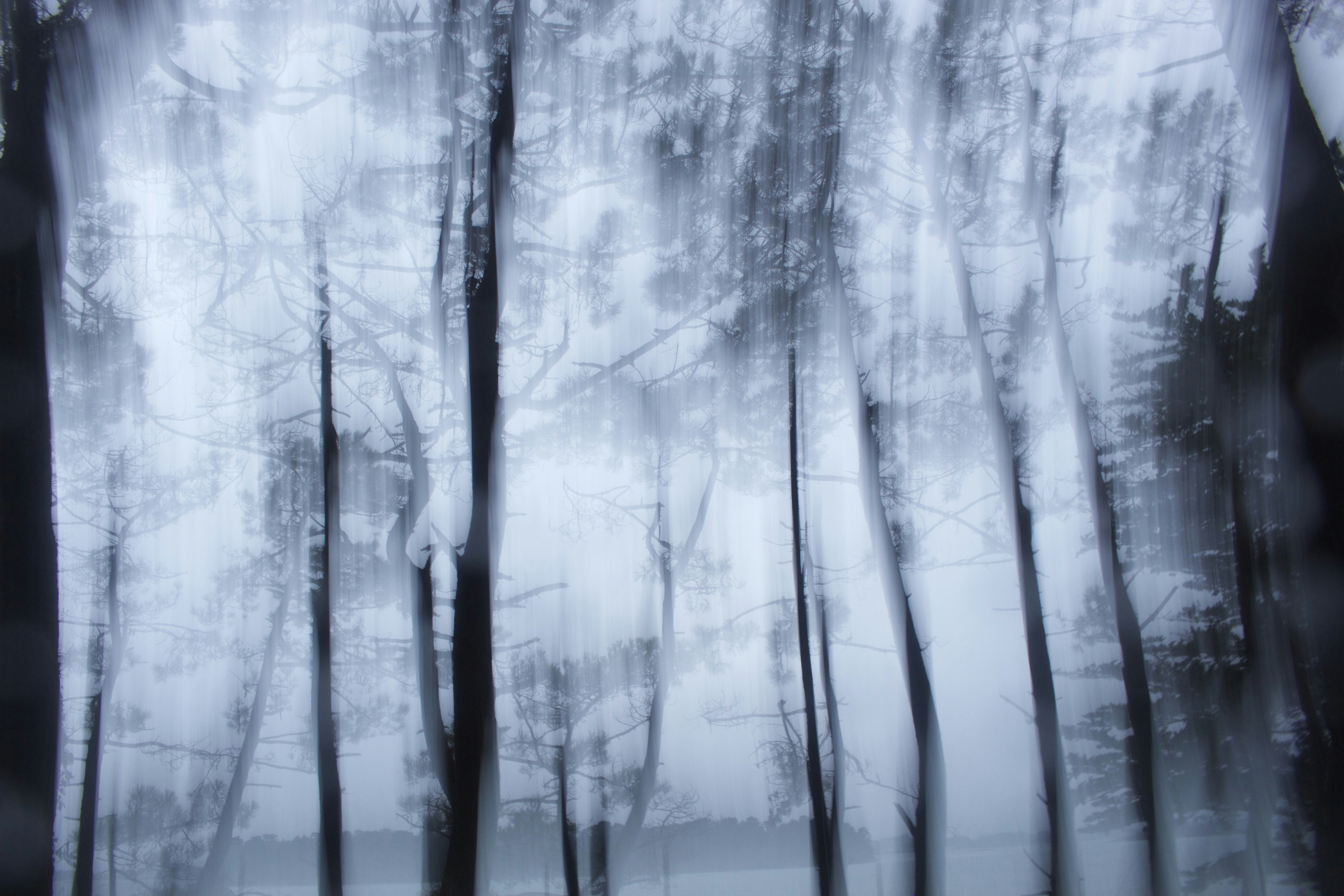 Photo by philographism