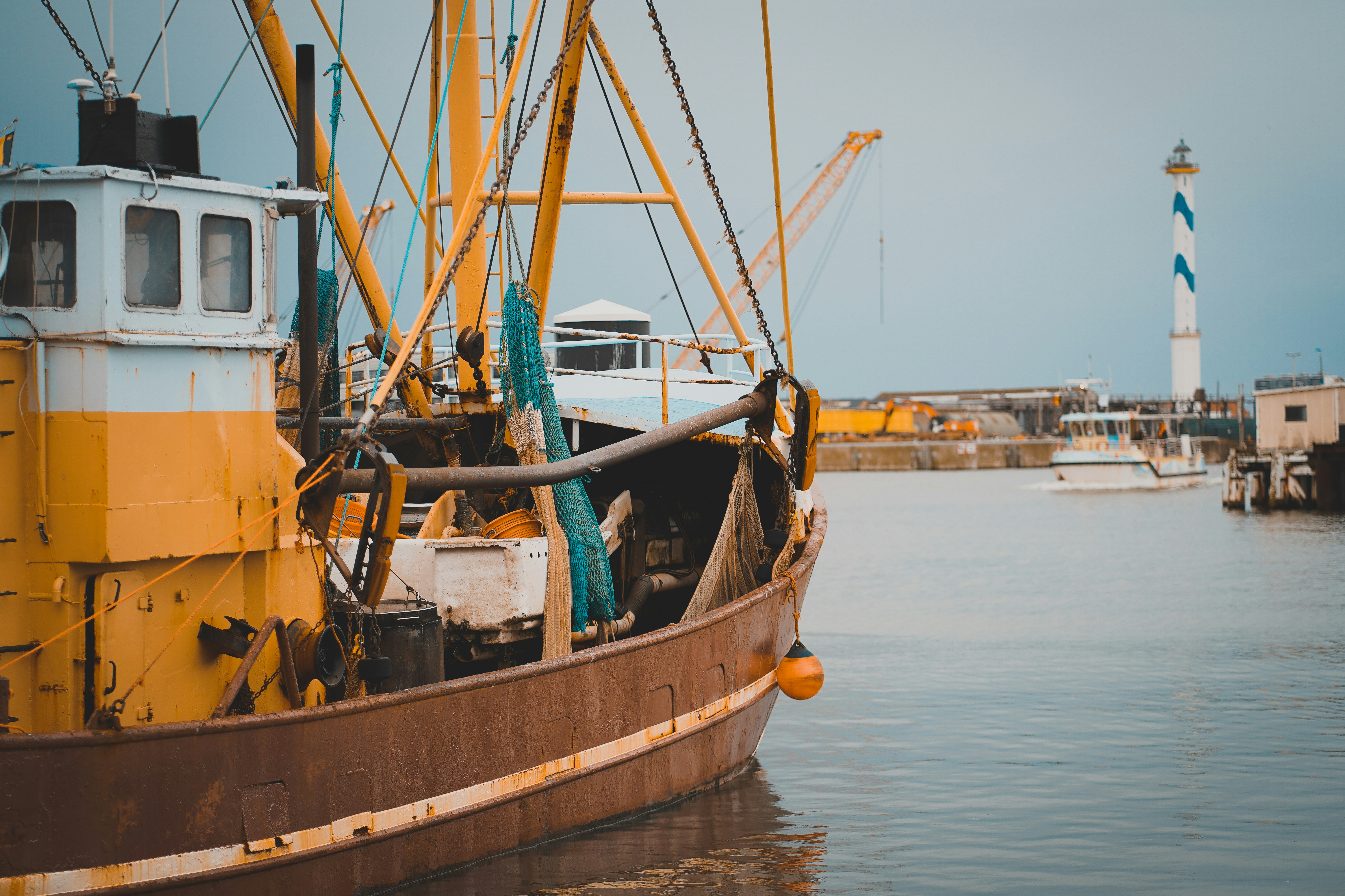 Photo by michelstock