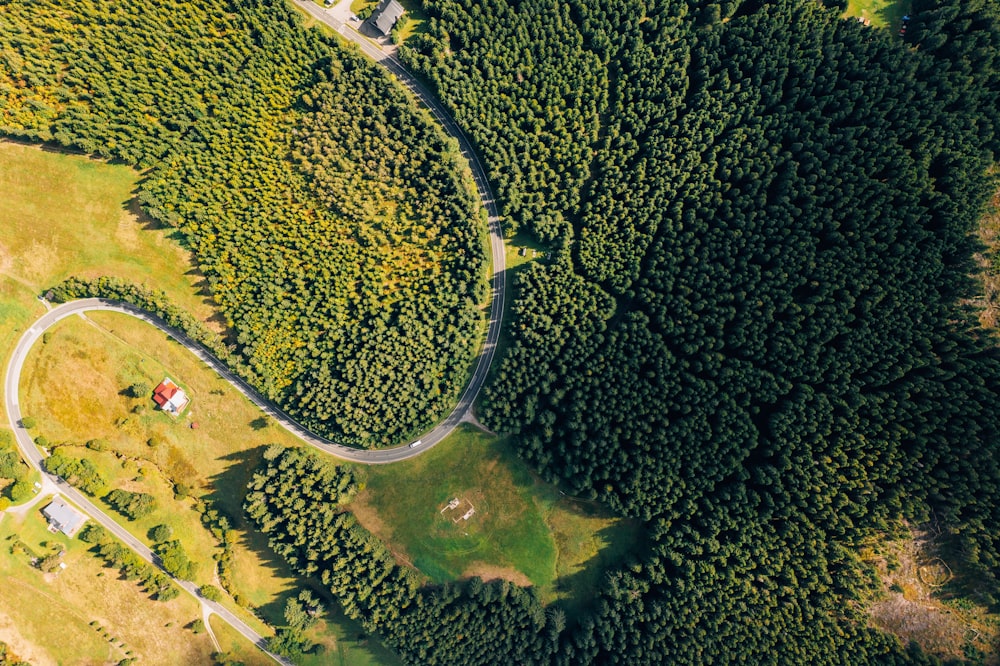 aerial photography of road during daytime