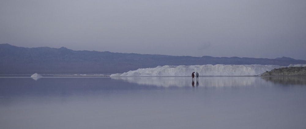 two penguins standing on glacier during daytime