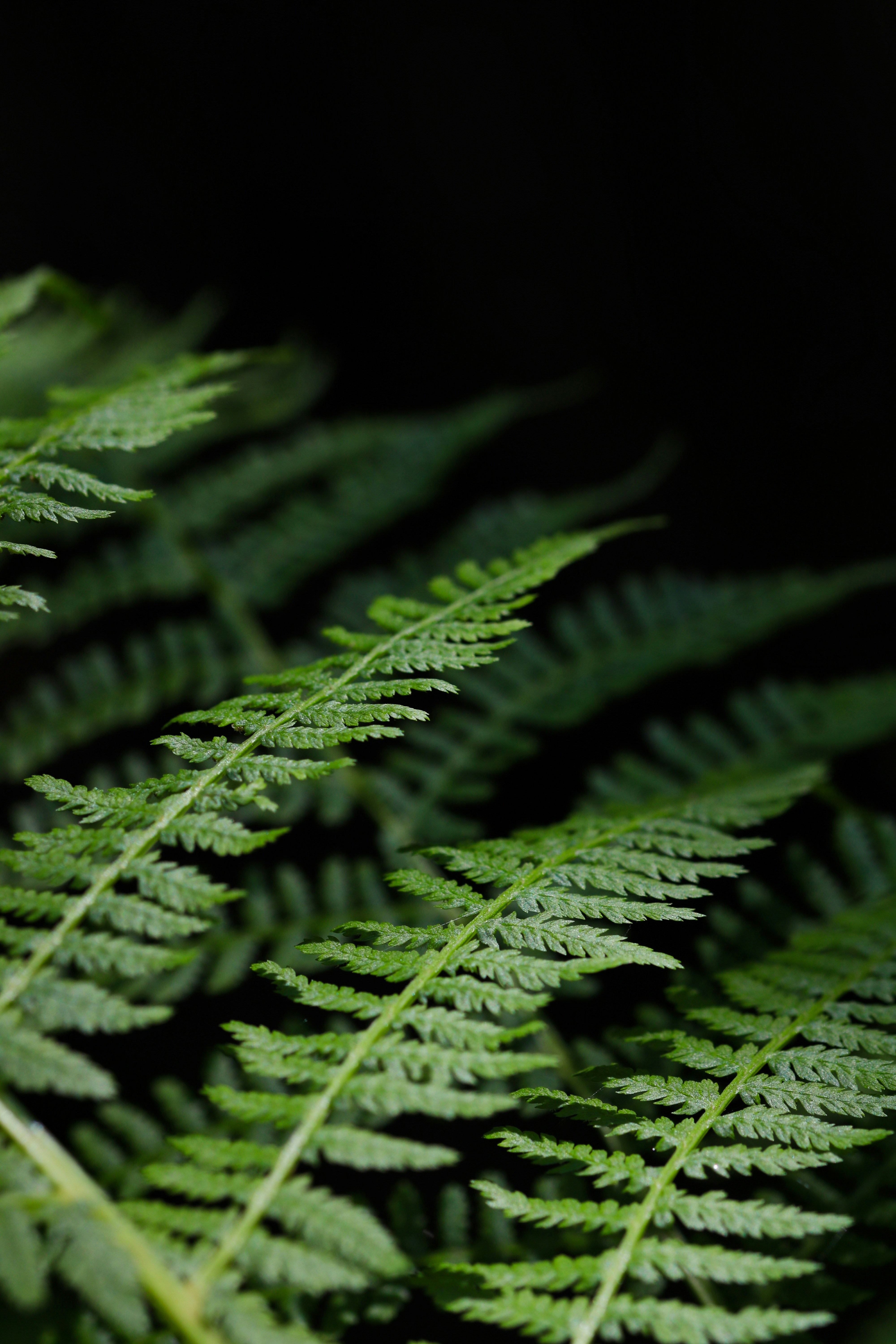 Photo by diemitdemuniontrikot