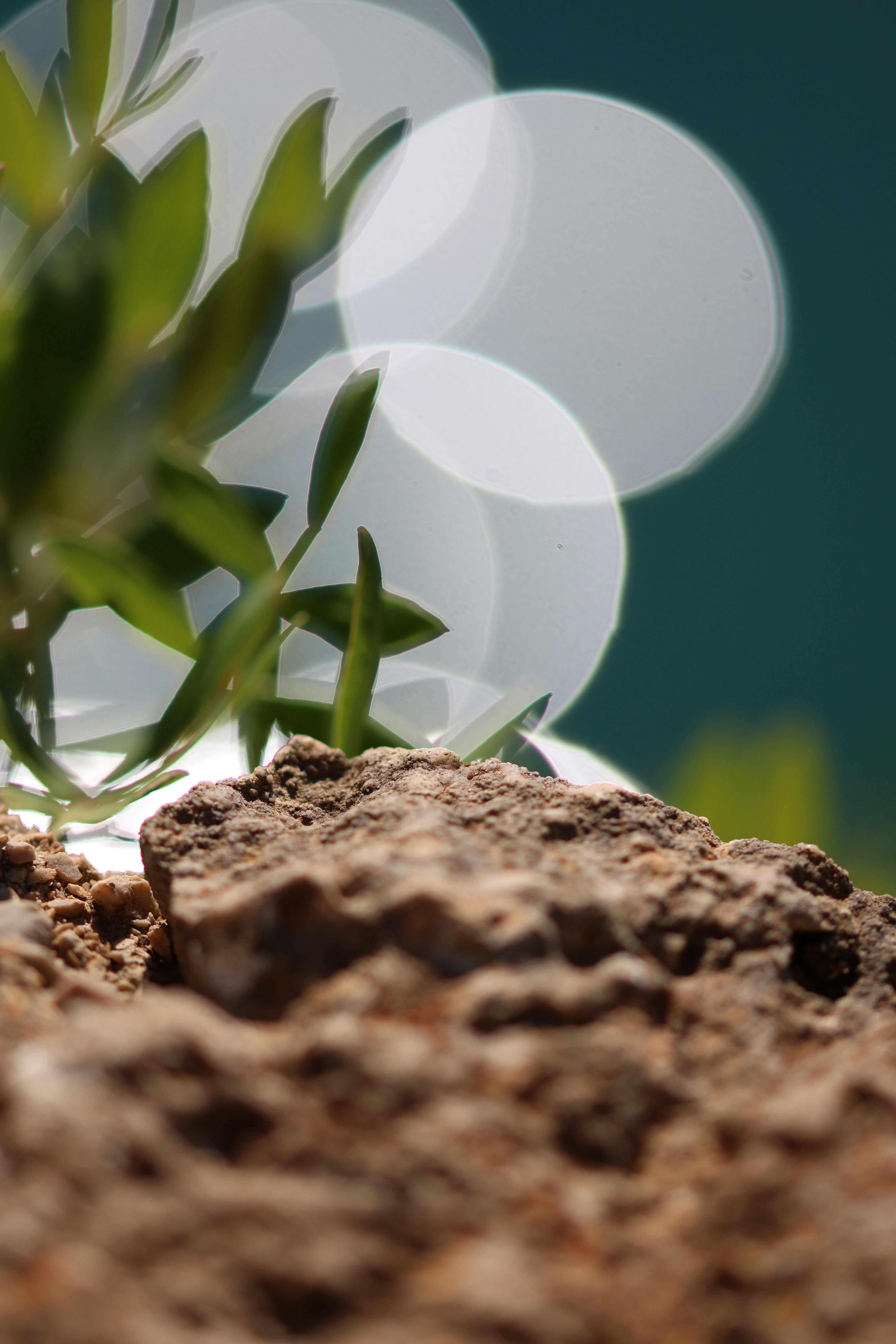 Photo by diemitdemuniontrikot