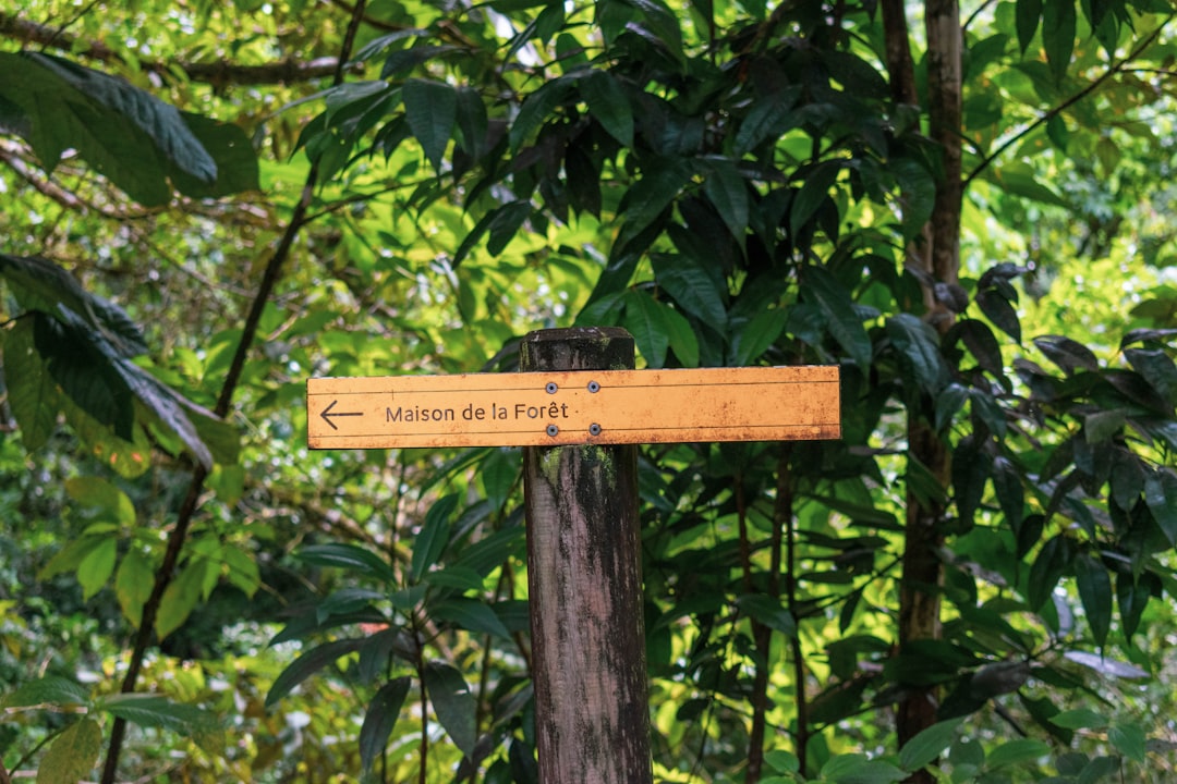 brown Malson de la Foret psot,