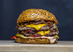 double patty cheeseburger