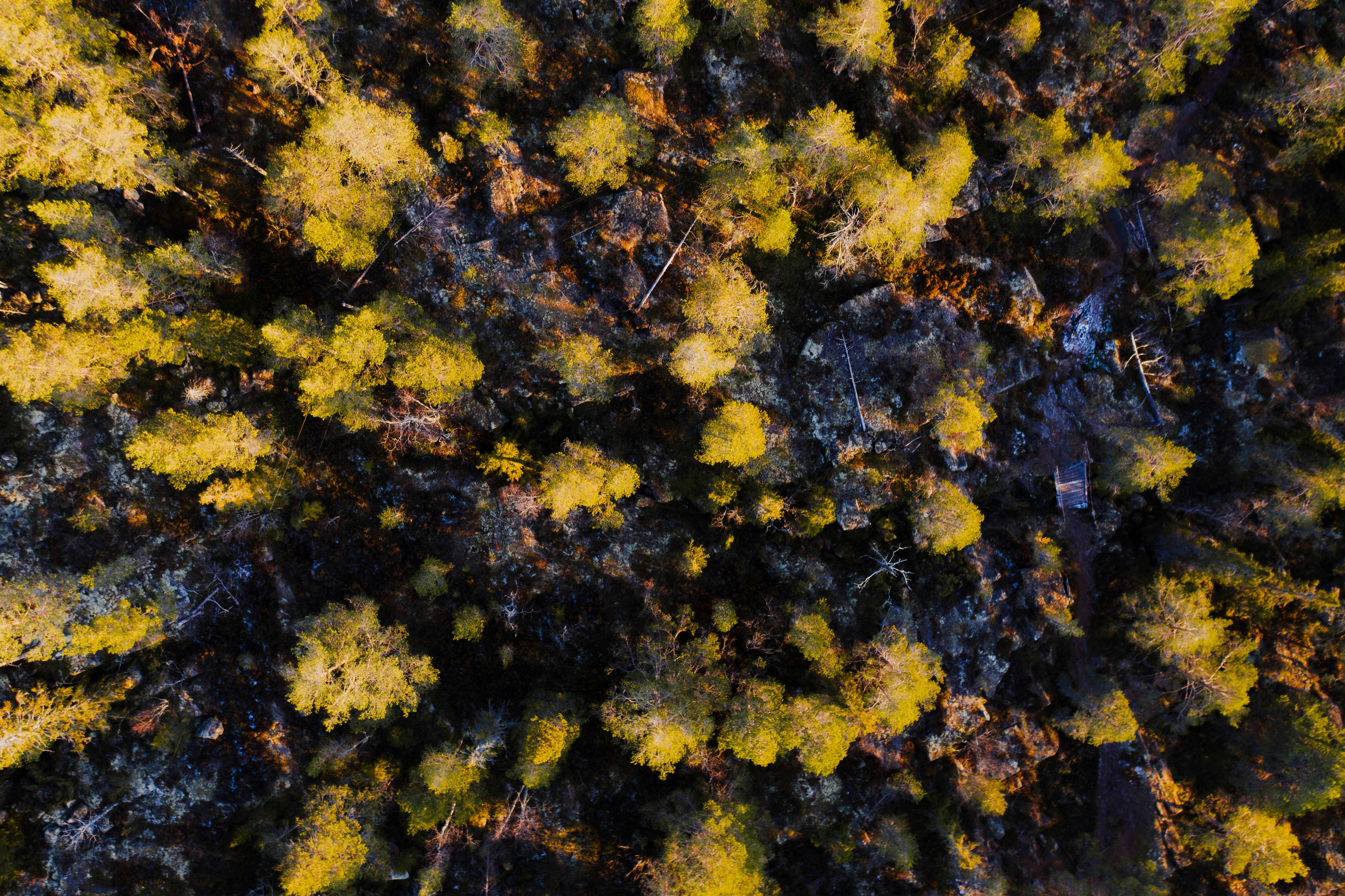 Photo by hendrikpeter