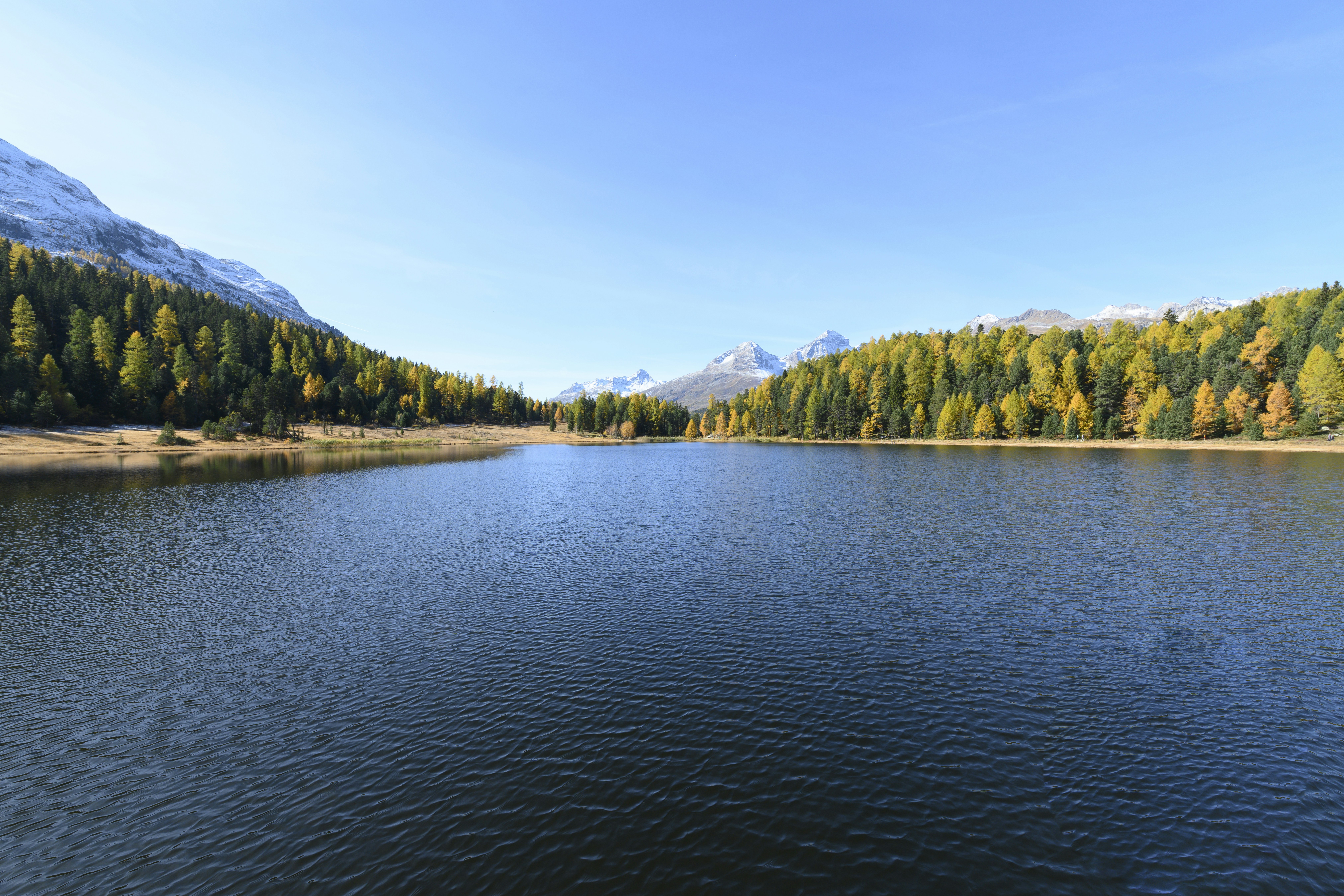 Photo by jacquesbopp