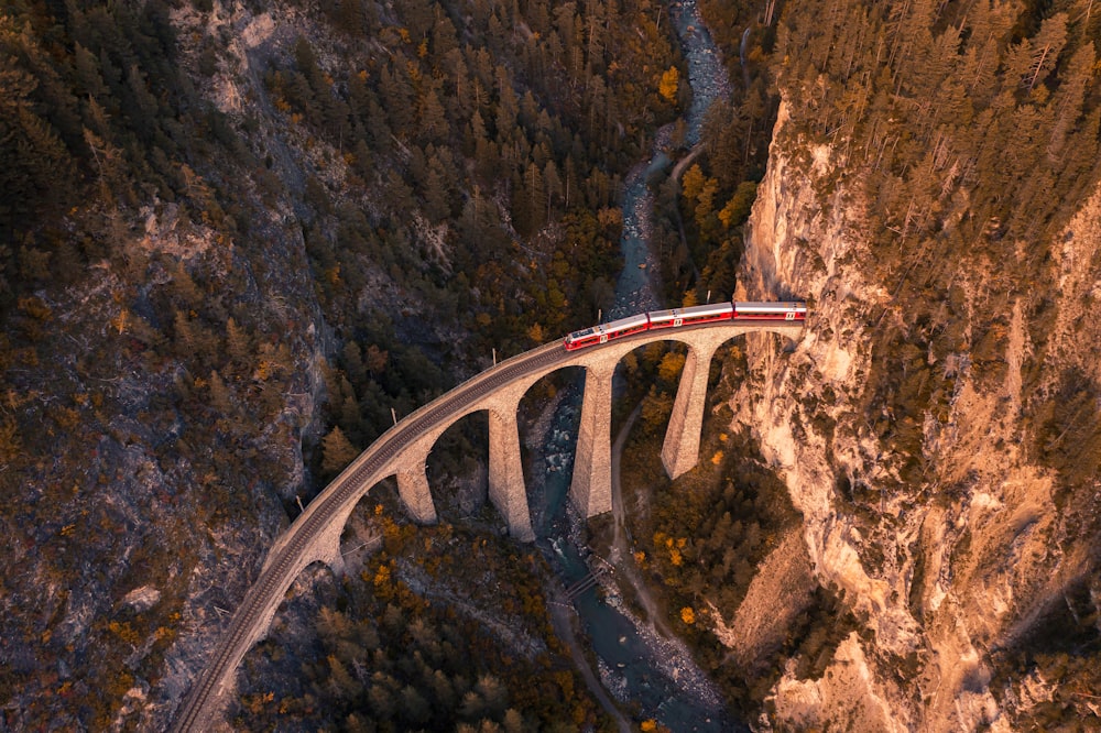 aerial photo of bridge