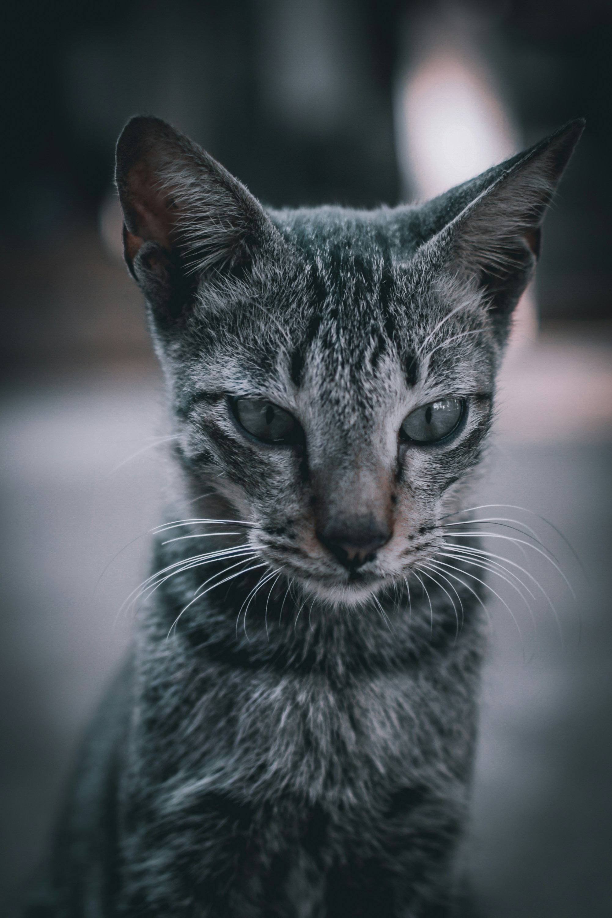 Photo by hikarinoshita