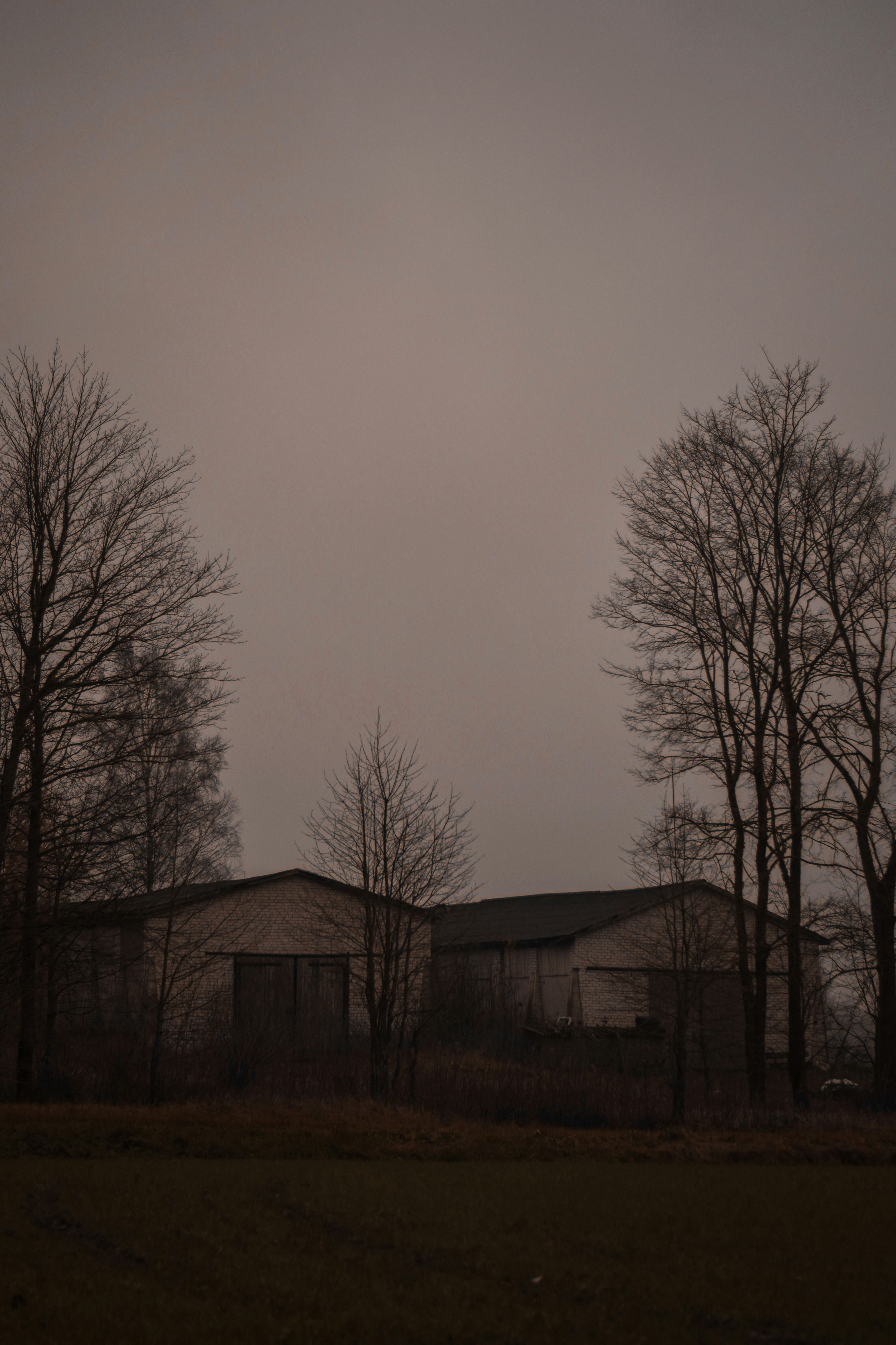 Photo by karliszalans