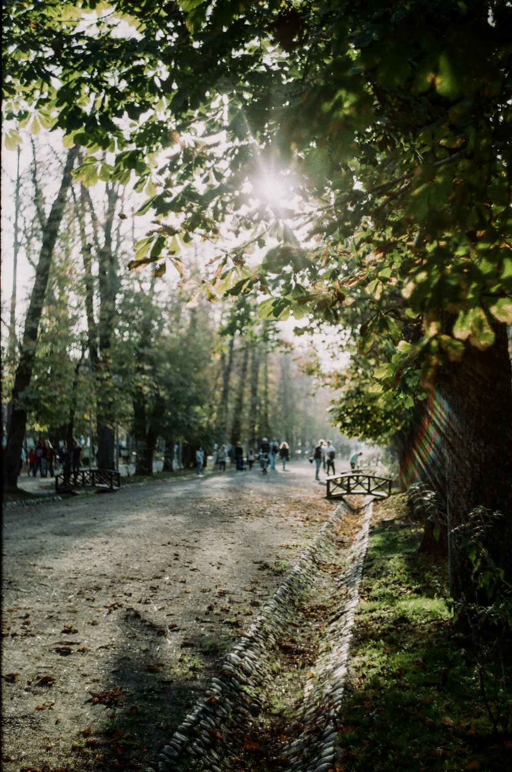 people standing on road