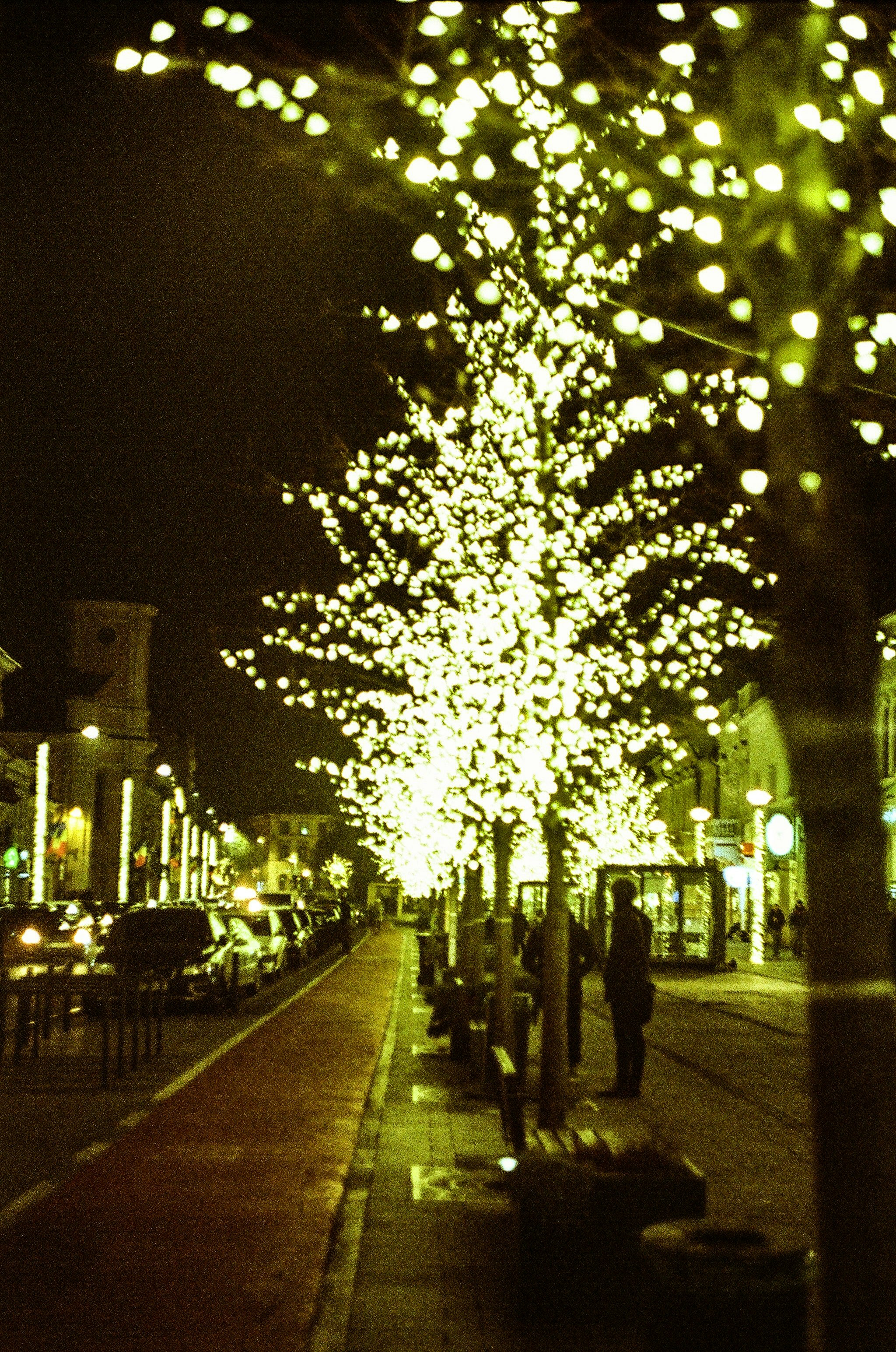 Photo by tintealorena