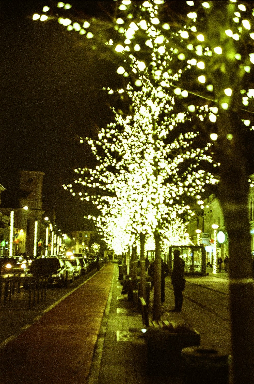 turned-on lights on tree