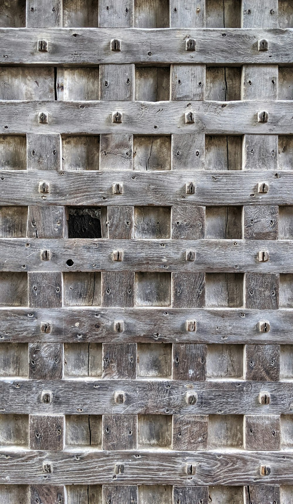 macro photography of gray plank