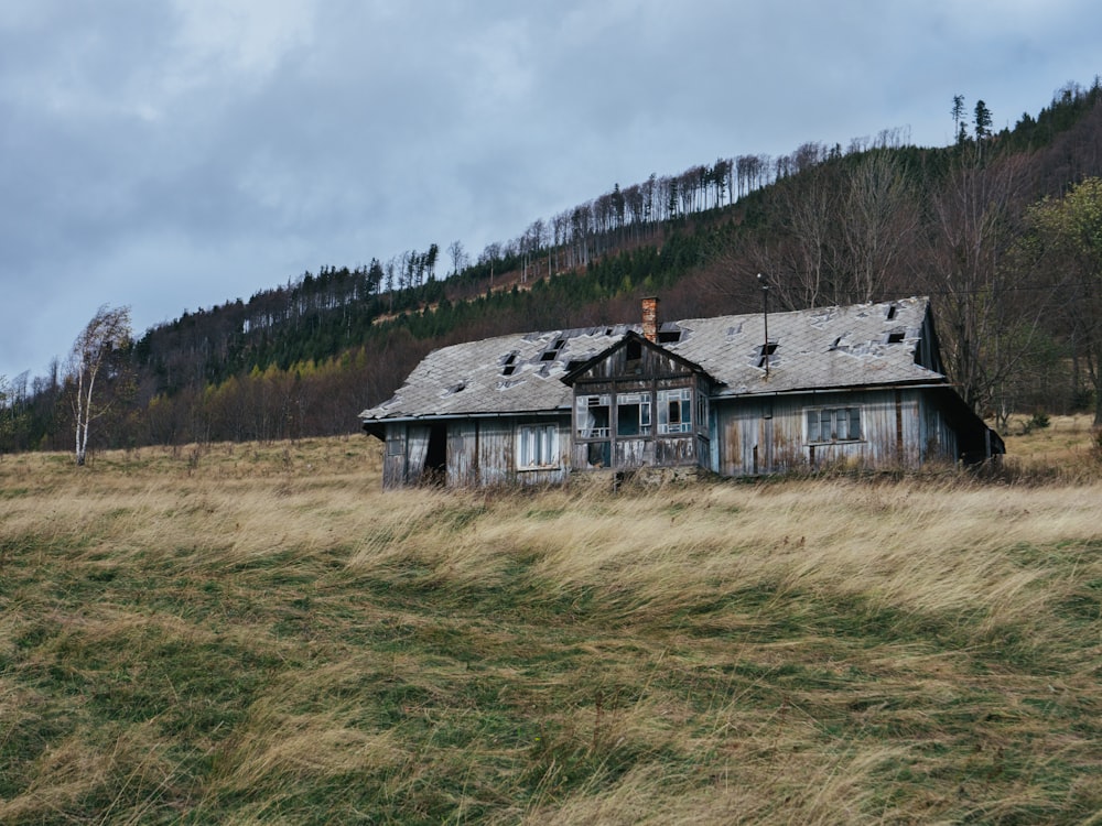 Maison en bois marron entourée d’un champ herbeux