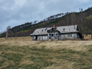 brown wooden house surrounded by grassy field