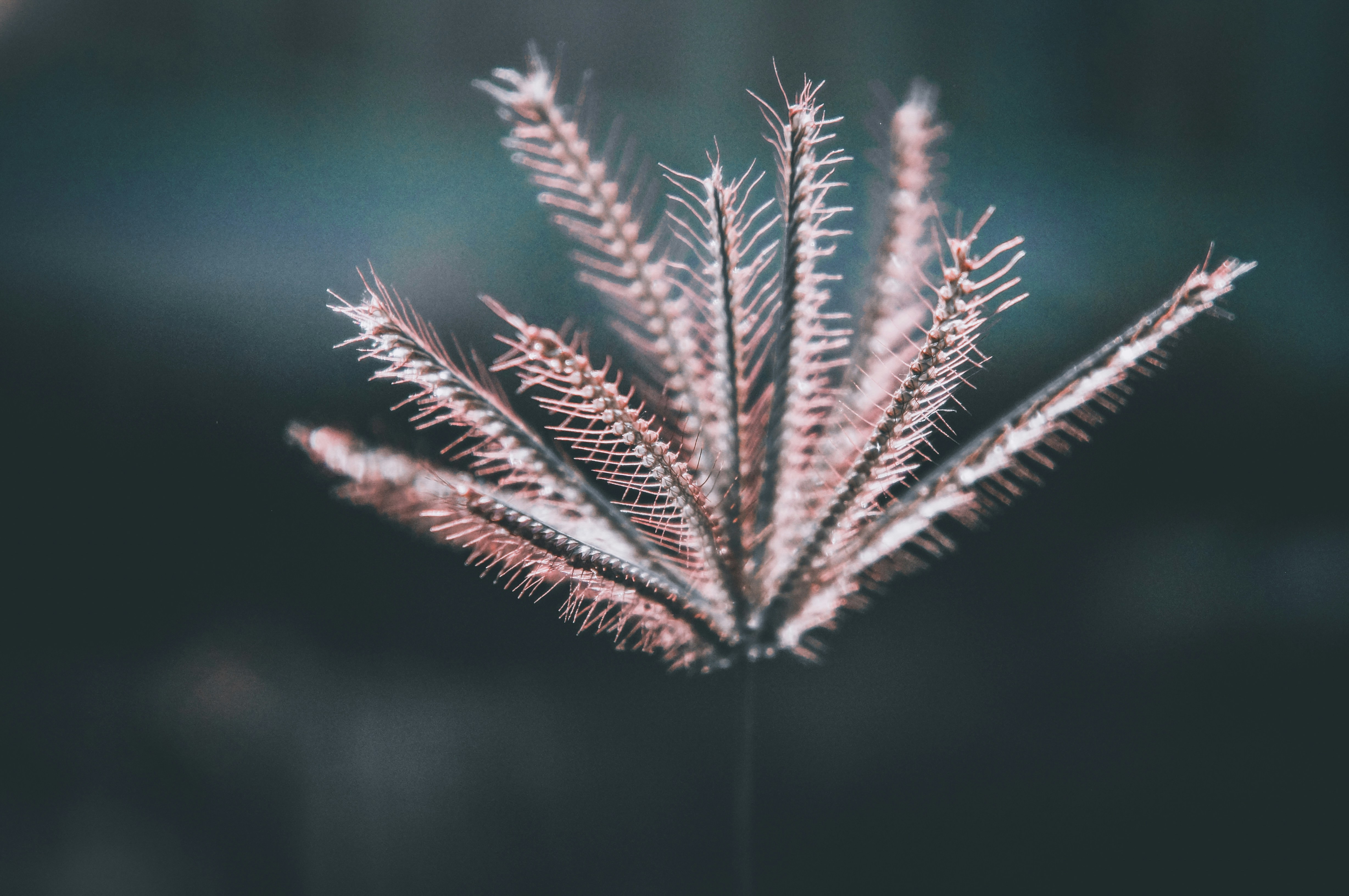 Photo by hikarinoshita