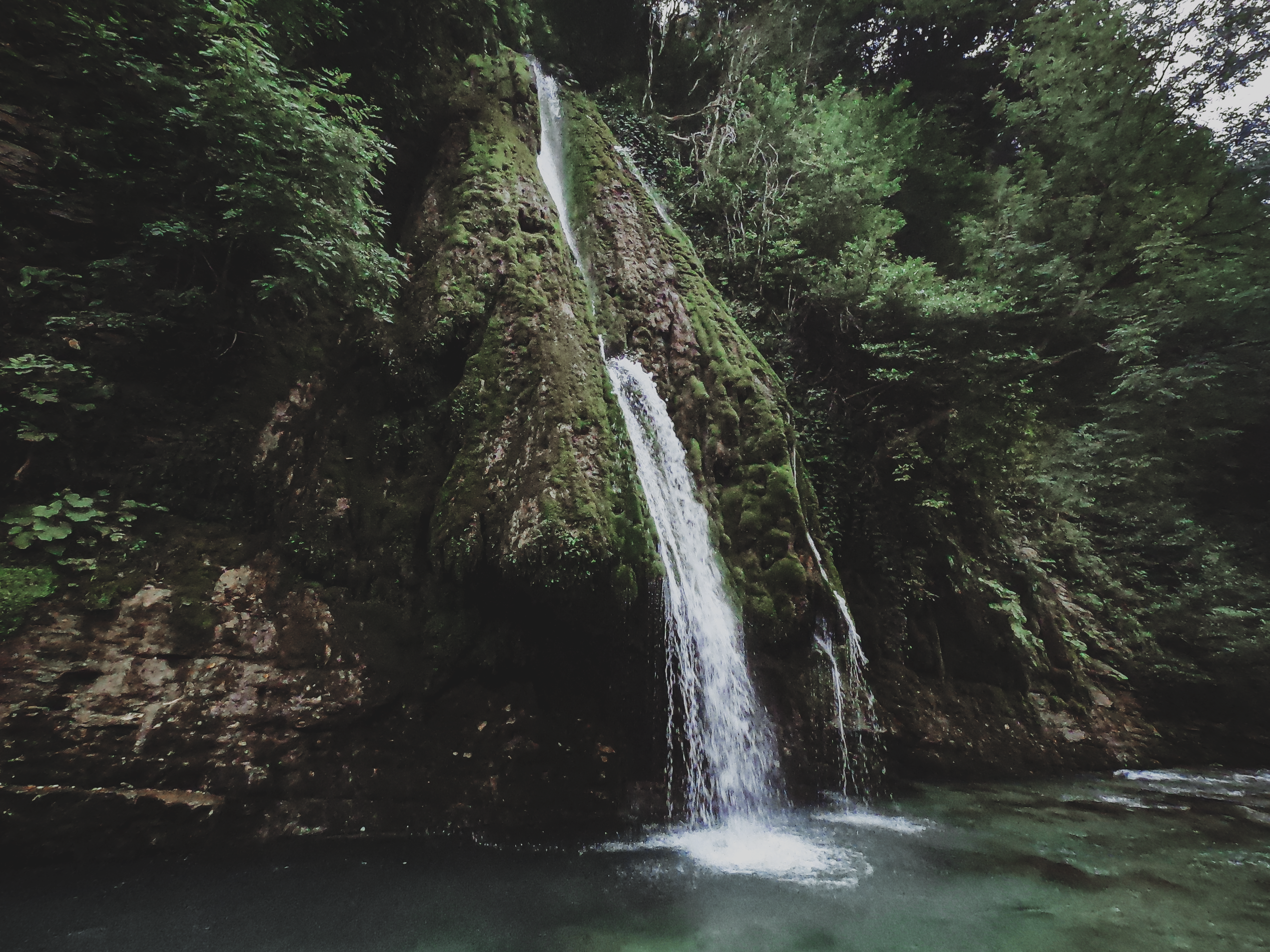 Photo by luka_tsikolia