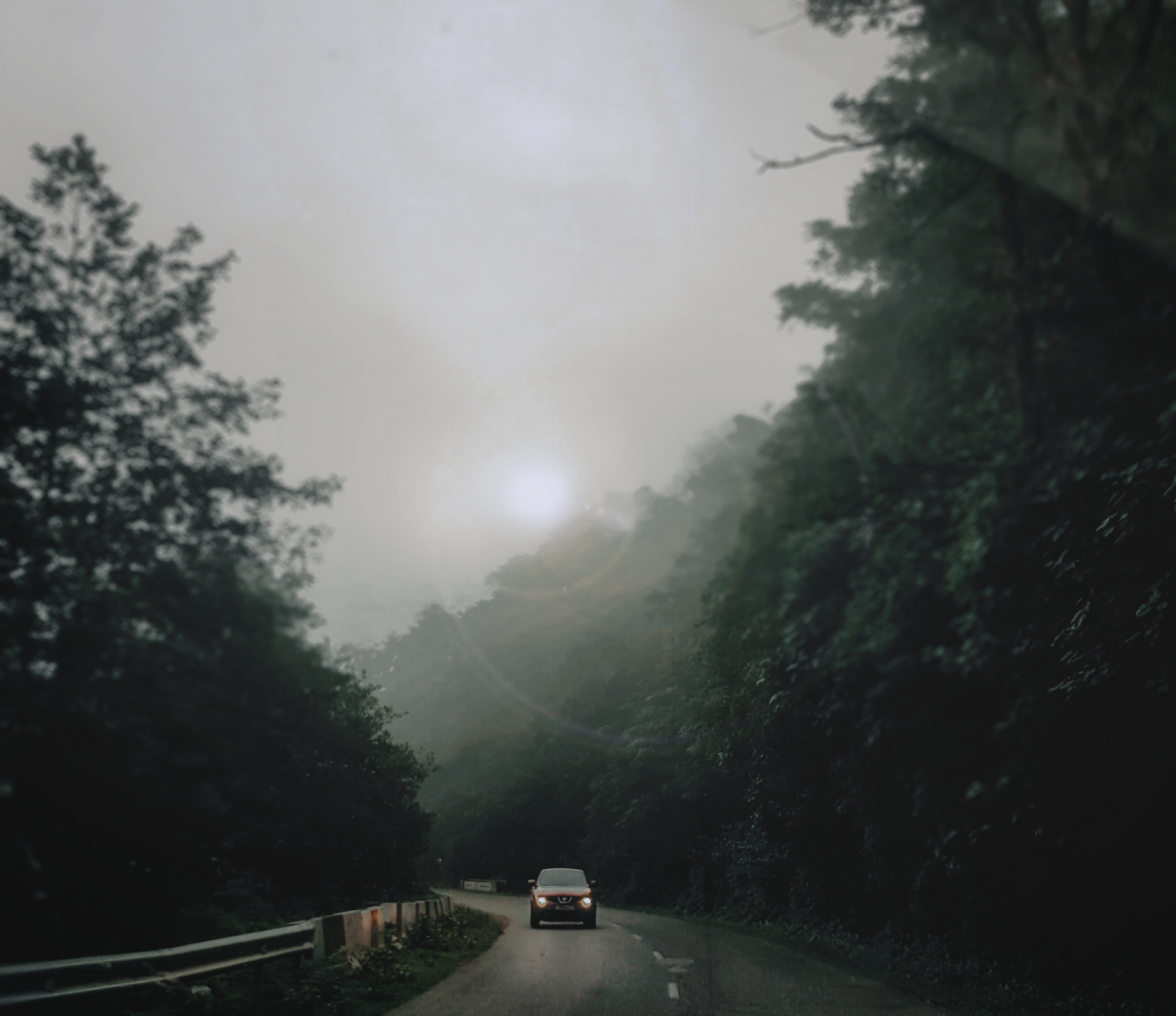 Photo by luka_tsikolia