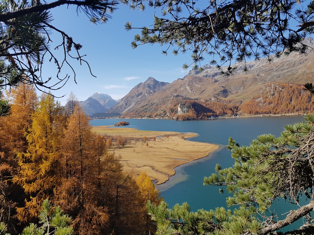 river beside mountain during daytime