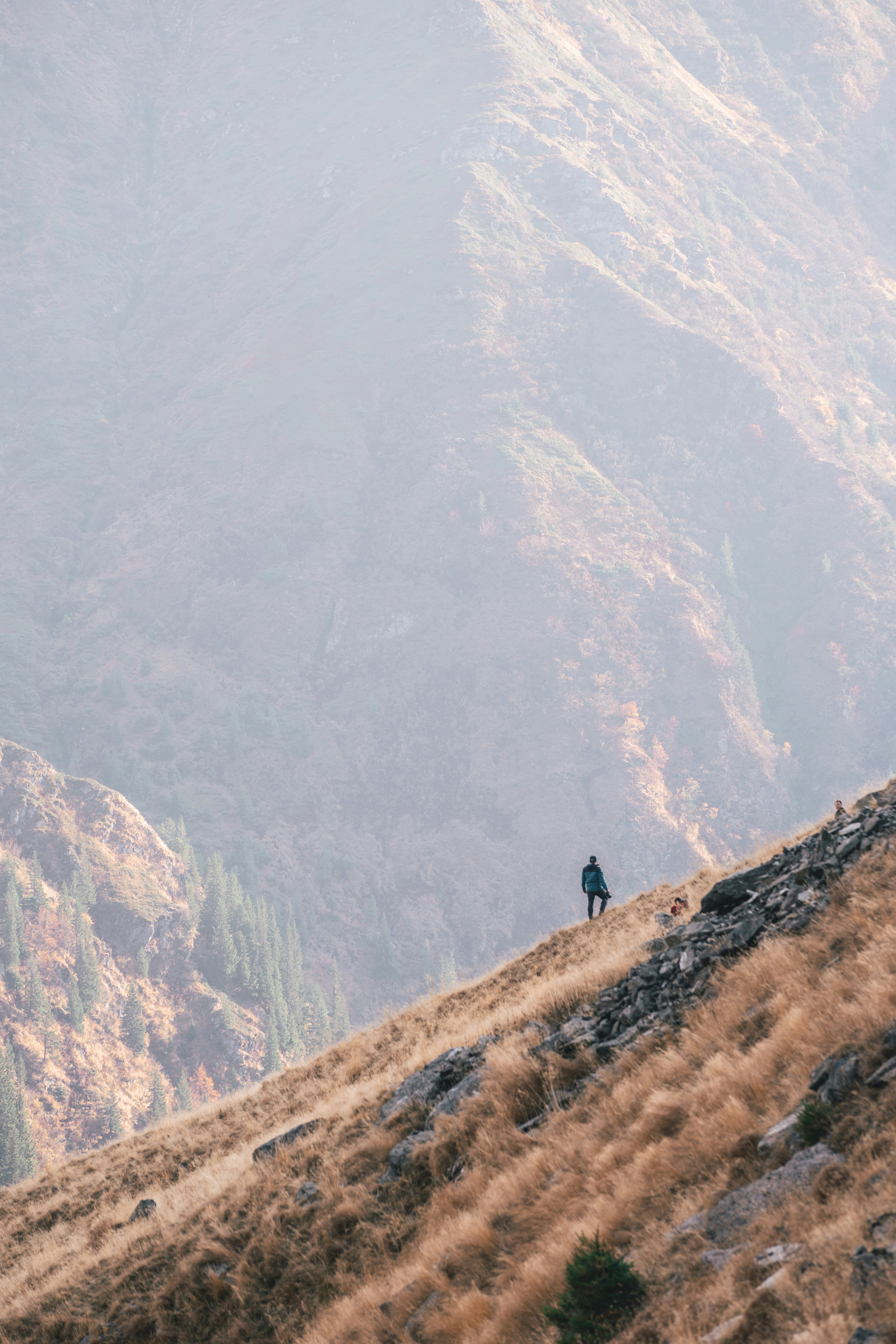 Photo by ballaschottner