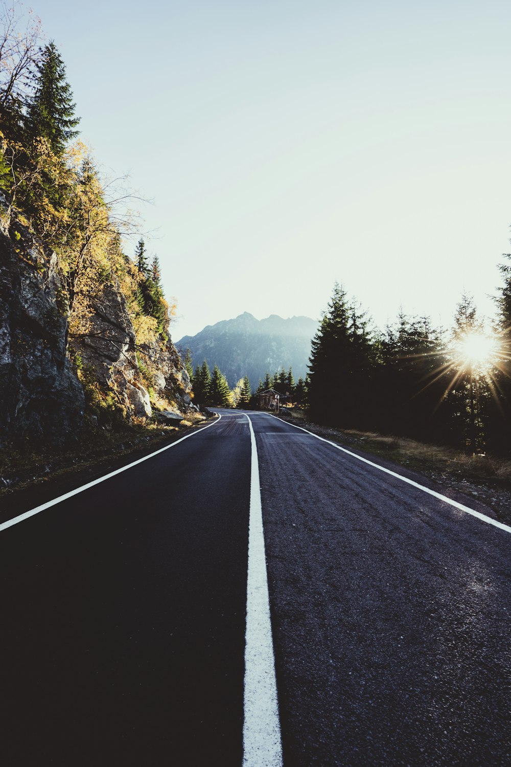 gray paved road under white sky