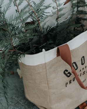 brown Goods tote bag with green plant