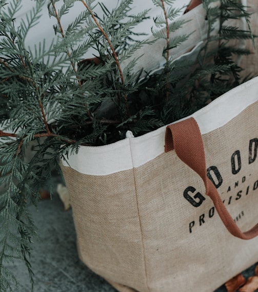 brown Goods tote bag with green plant