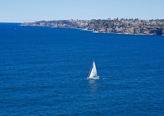 aerial photography of white boat on blue sea viewing buildings and houses under blue and white sky during daytime in Manly NSW Australia