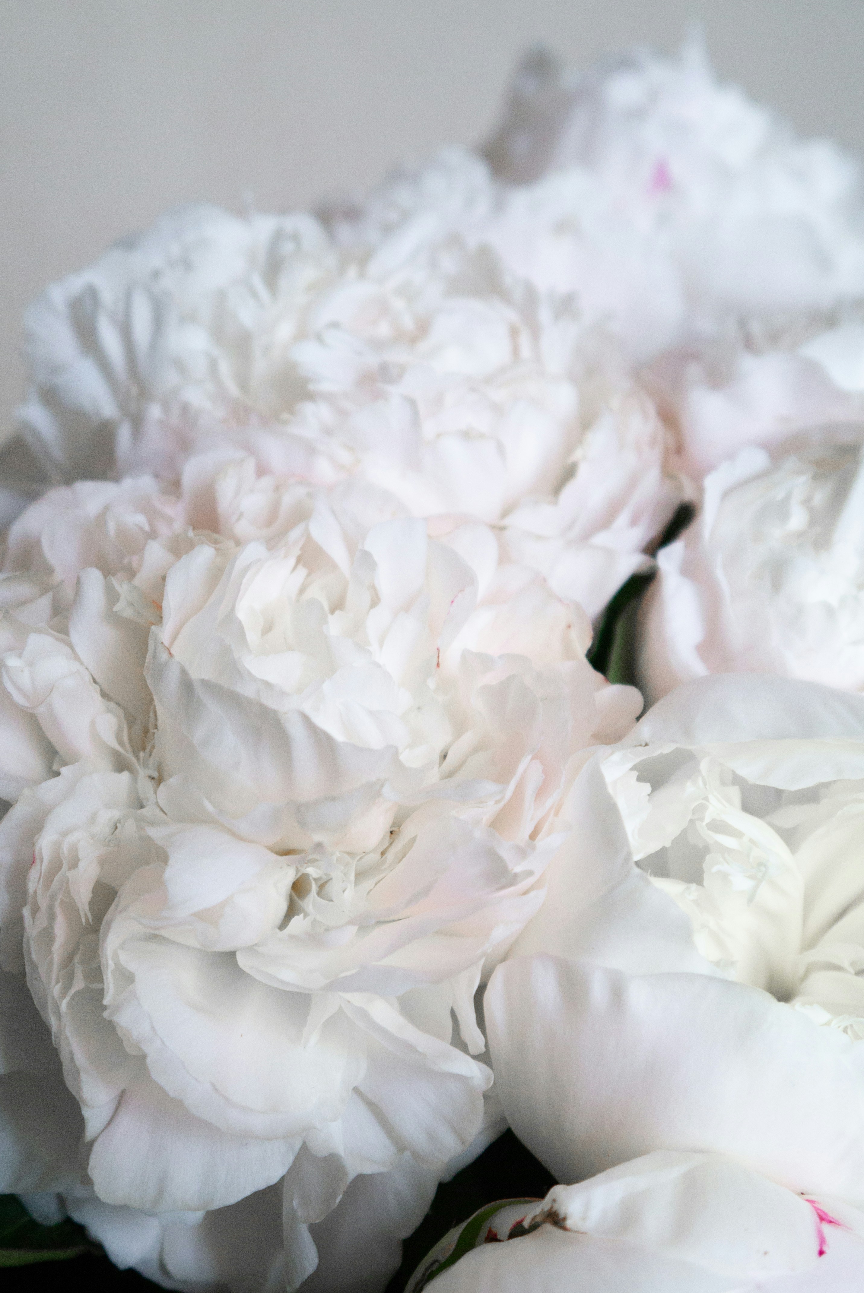 Photo by tanya_kukarkina