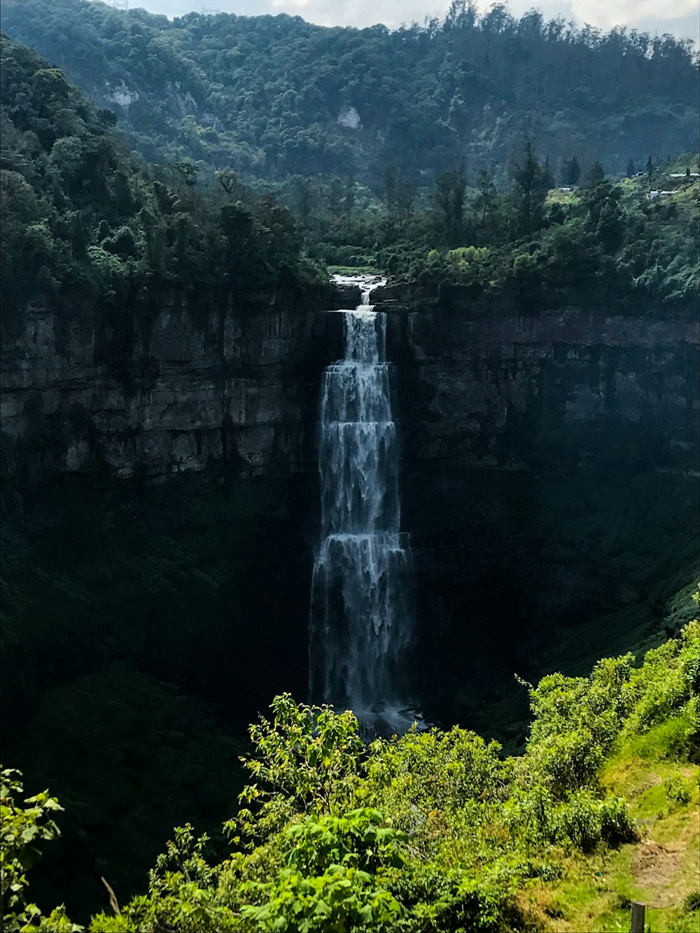 flowing waterfalls near trees during daytime