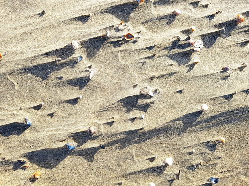 sabbia grigia durante il giorno