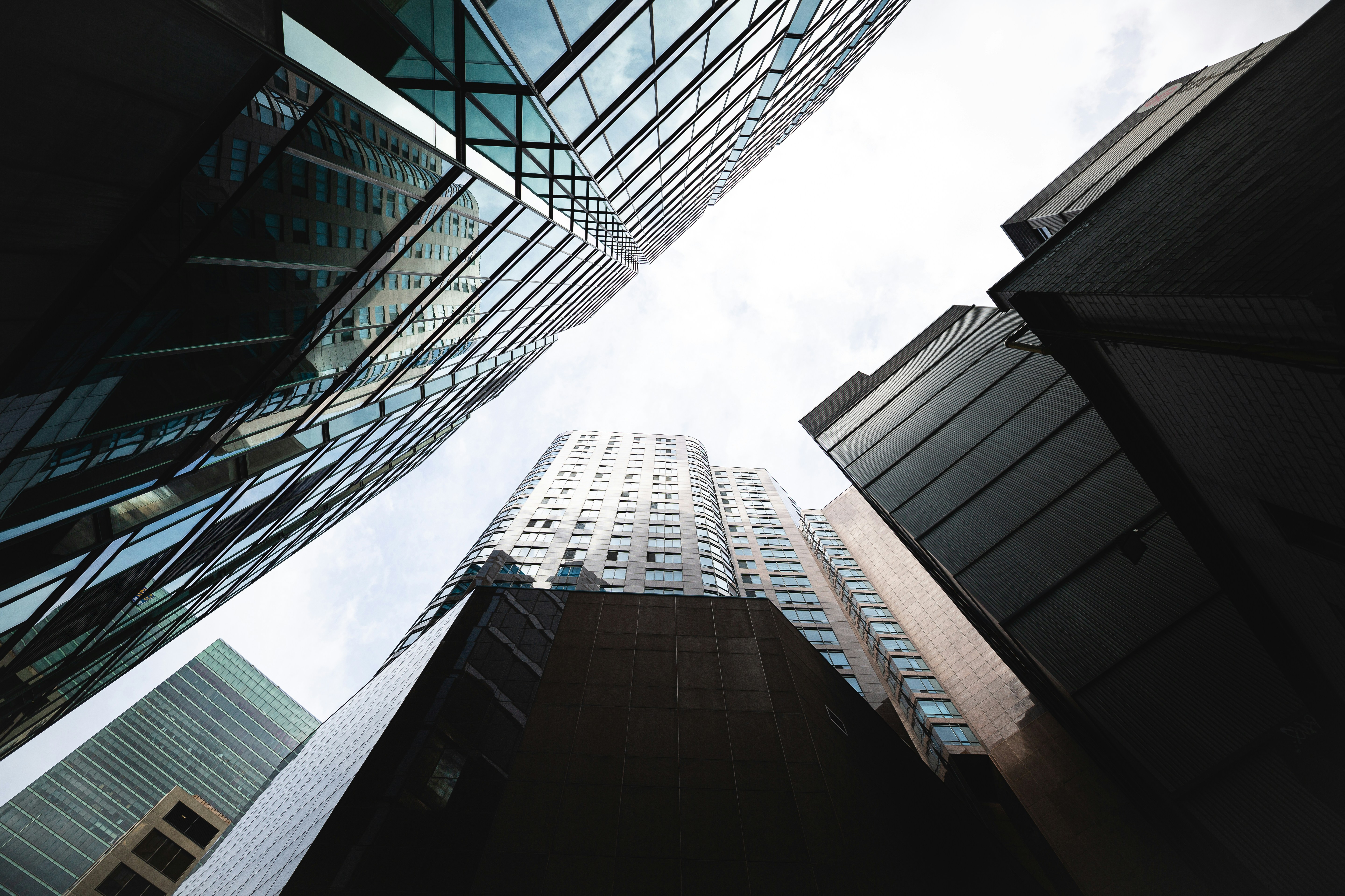 Photo by loganmanuel