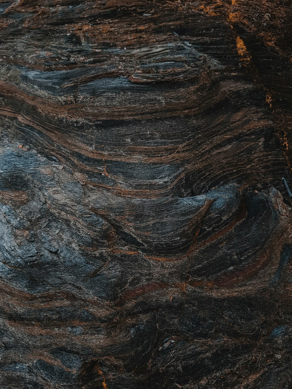 a close up of a rock with a brown and black pattern