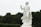 A classical white marble statue of a male figure holding a cup in one hand, with a draped cloth around his waist. The statue is adorned with detailed carvings of flowers and fruit and is set against a backdrop of green trees and cloudy sky.