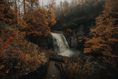 Looking Glass Falls - United States