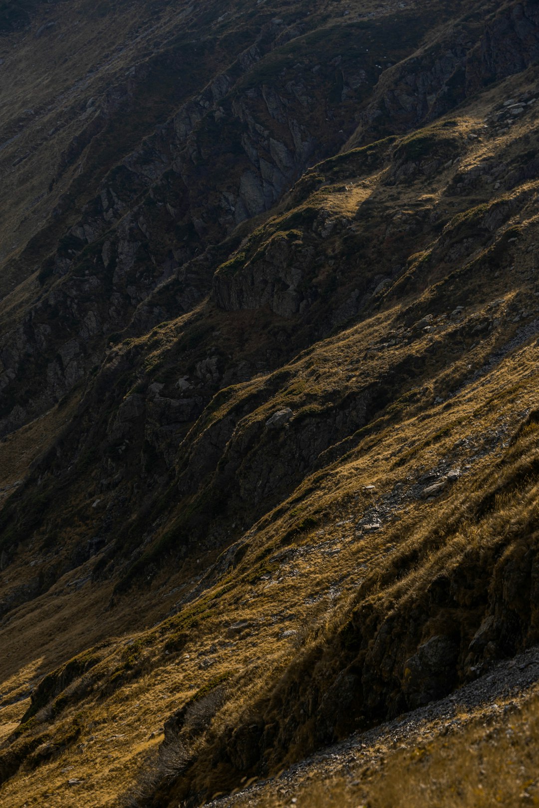 green and brown mountain during daytime