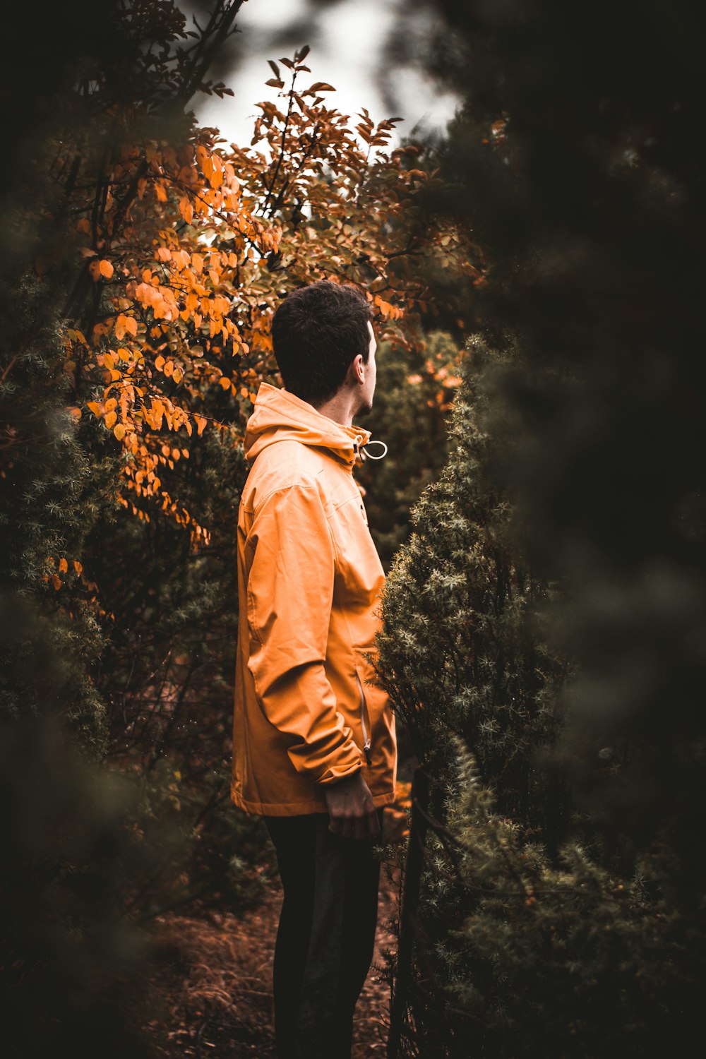 man in an orange hoodie jacket