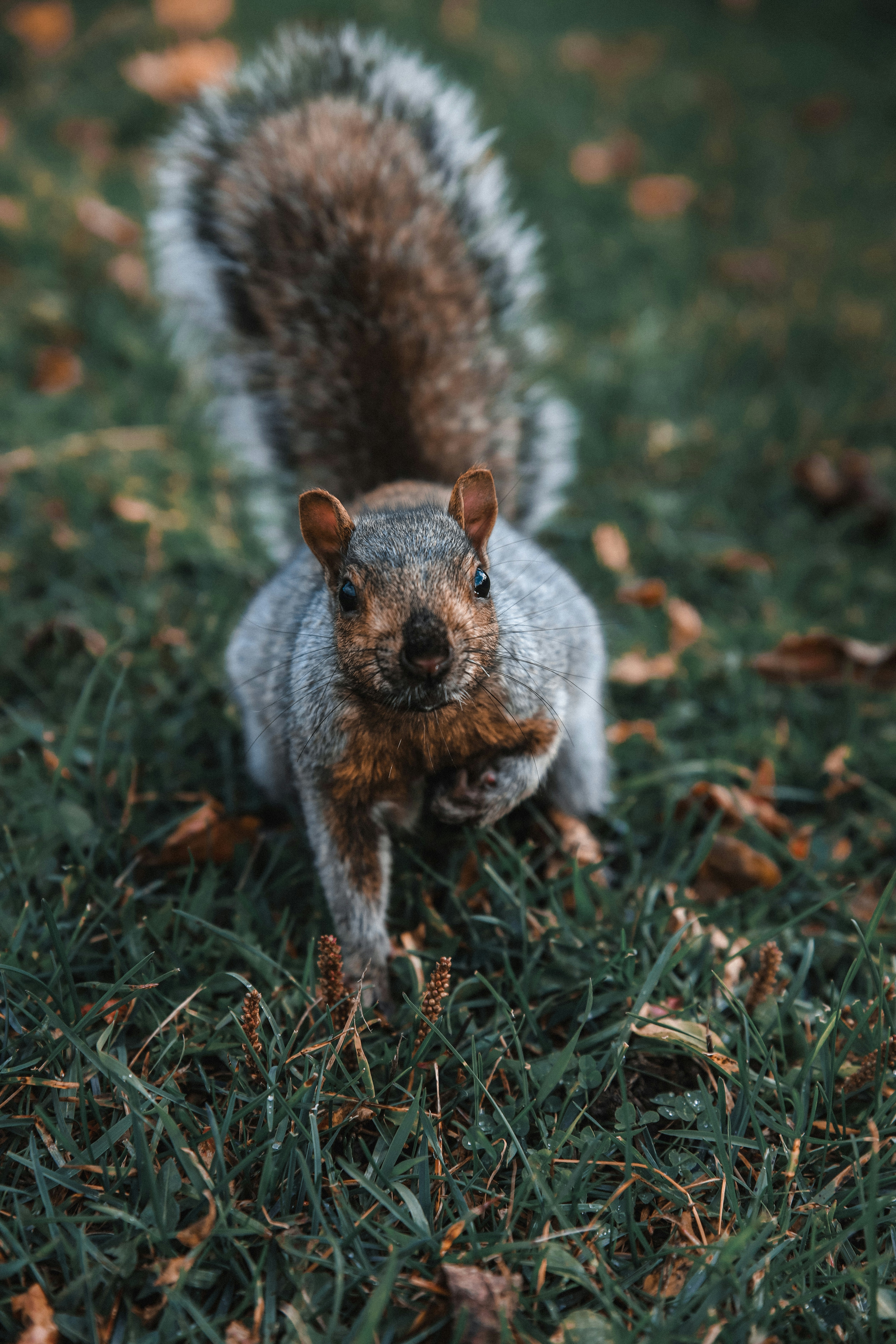 Photo by jusdevoyage