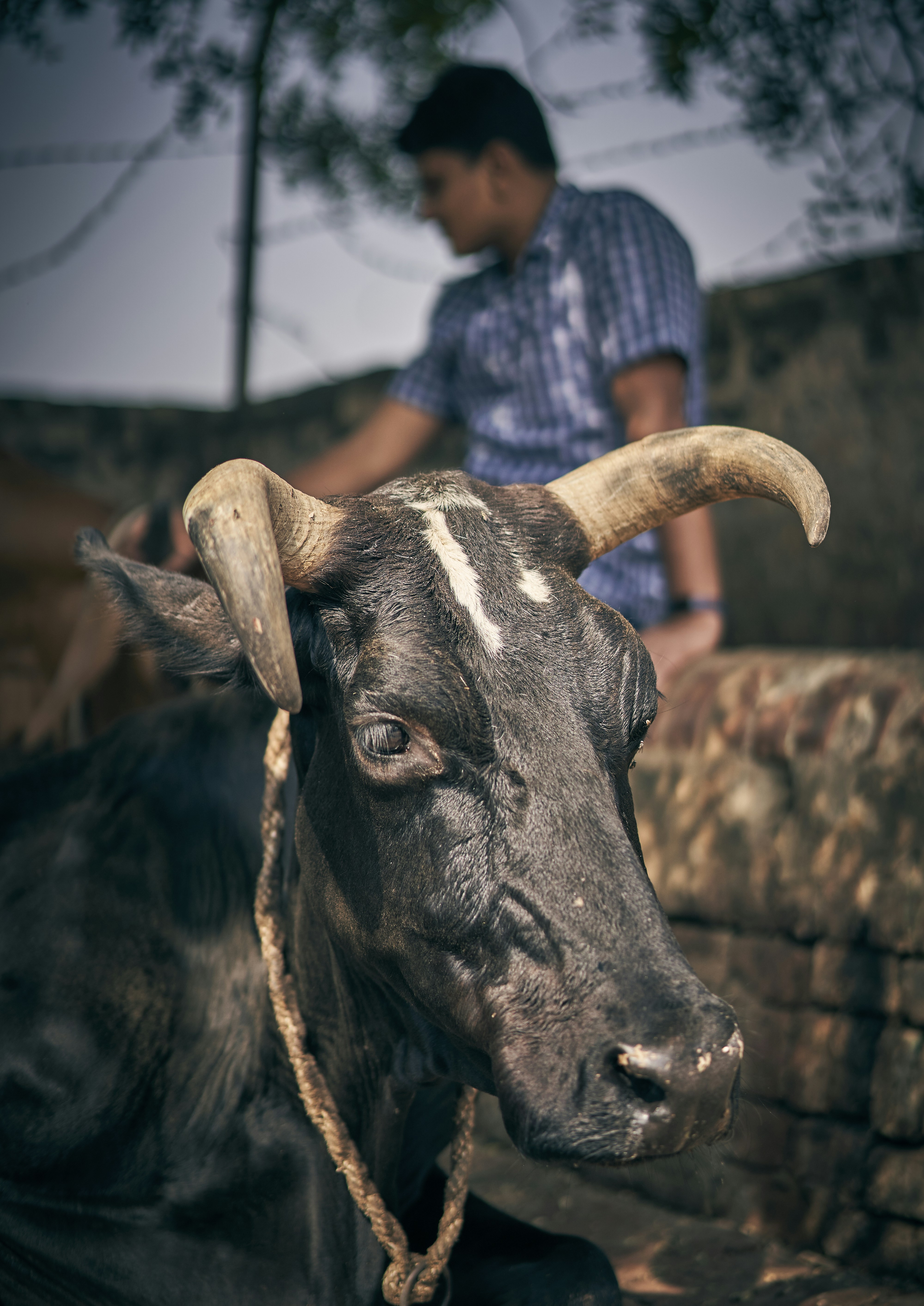 Photograph by Ashwini Chaudhary