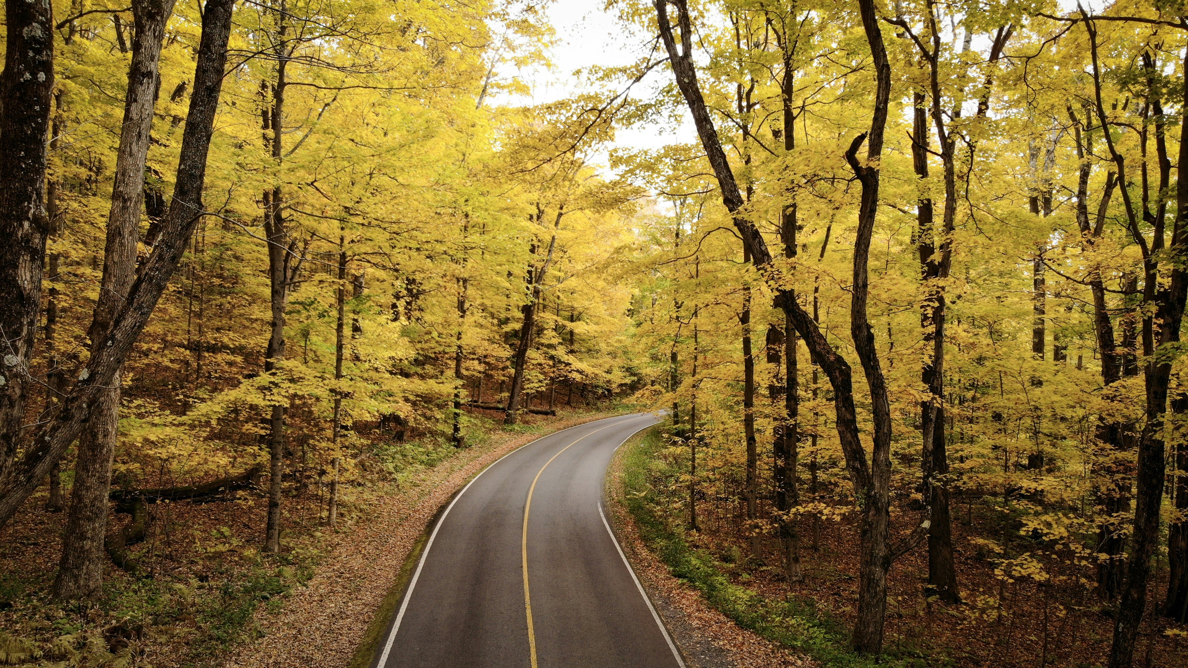 Photo by magnusmachado