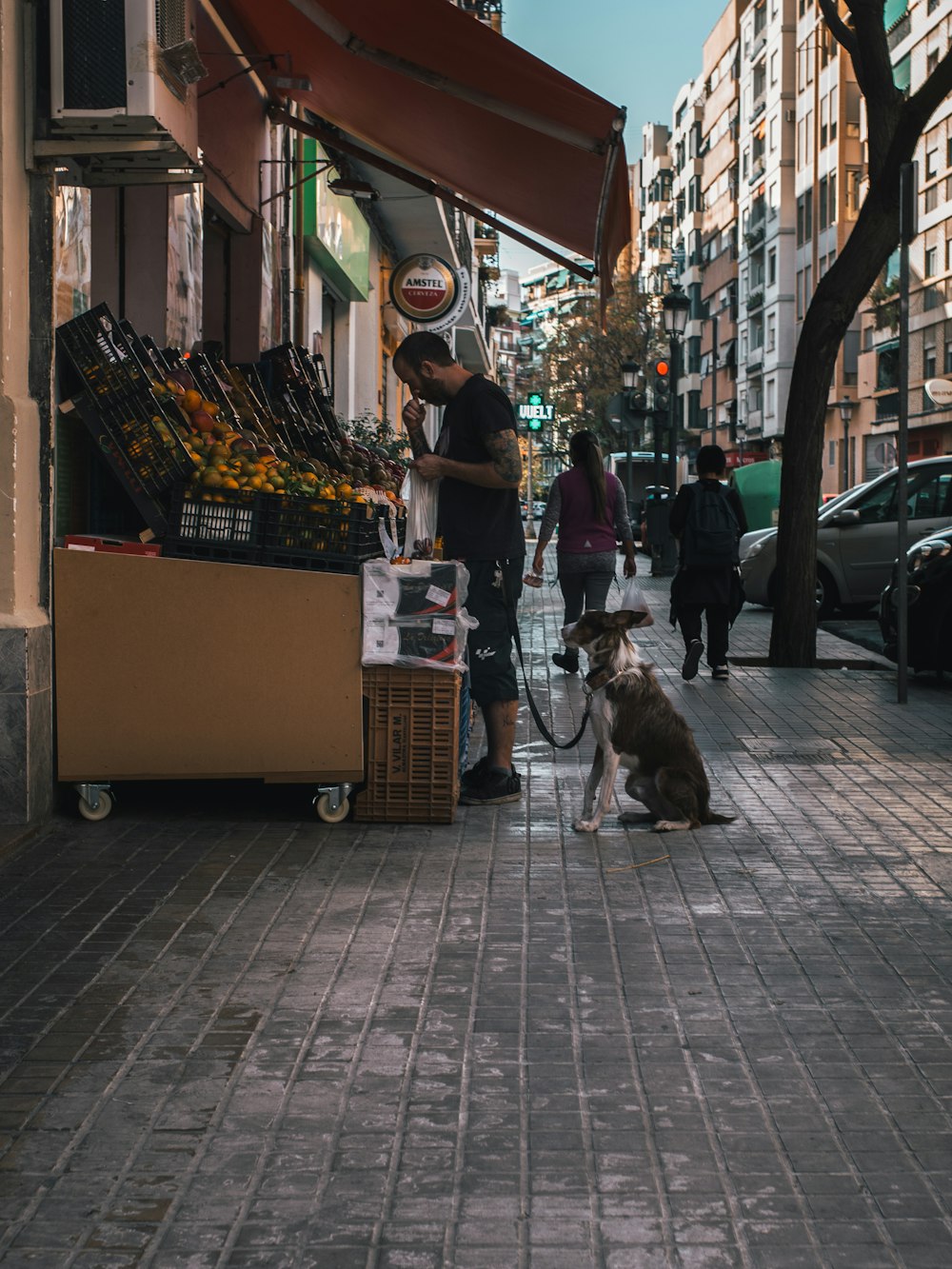 man and a dog at a kiosk