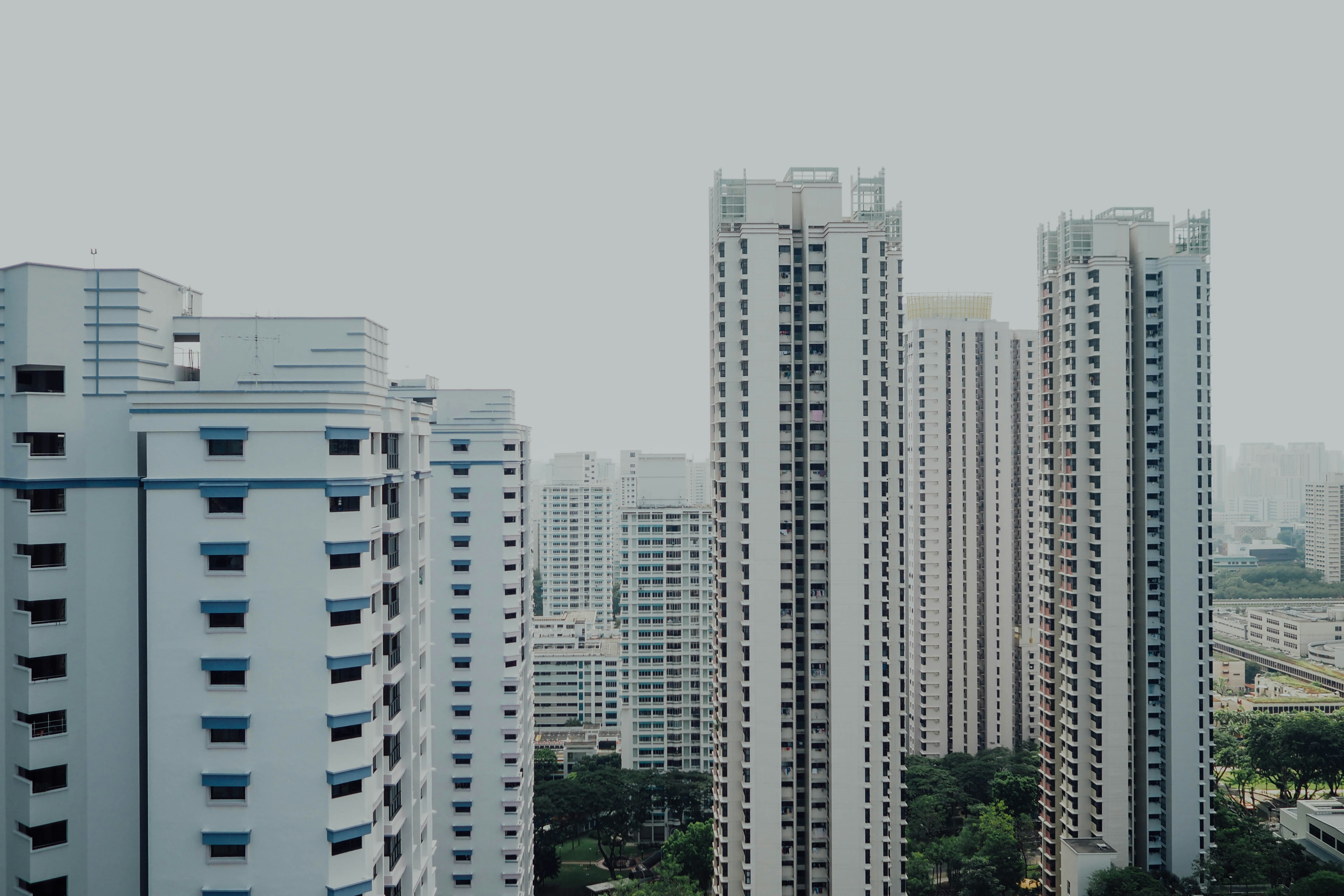 Photo by chuttersnap