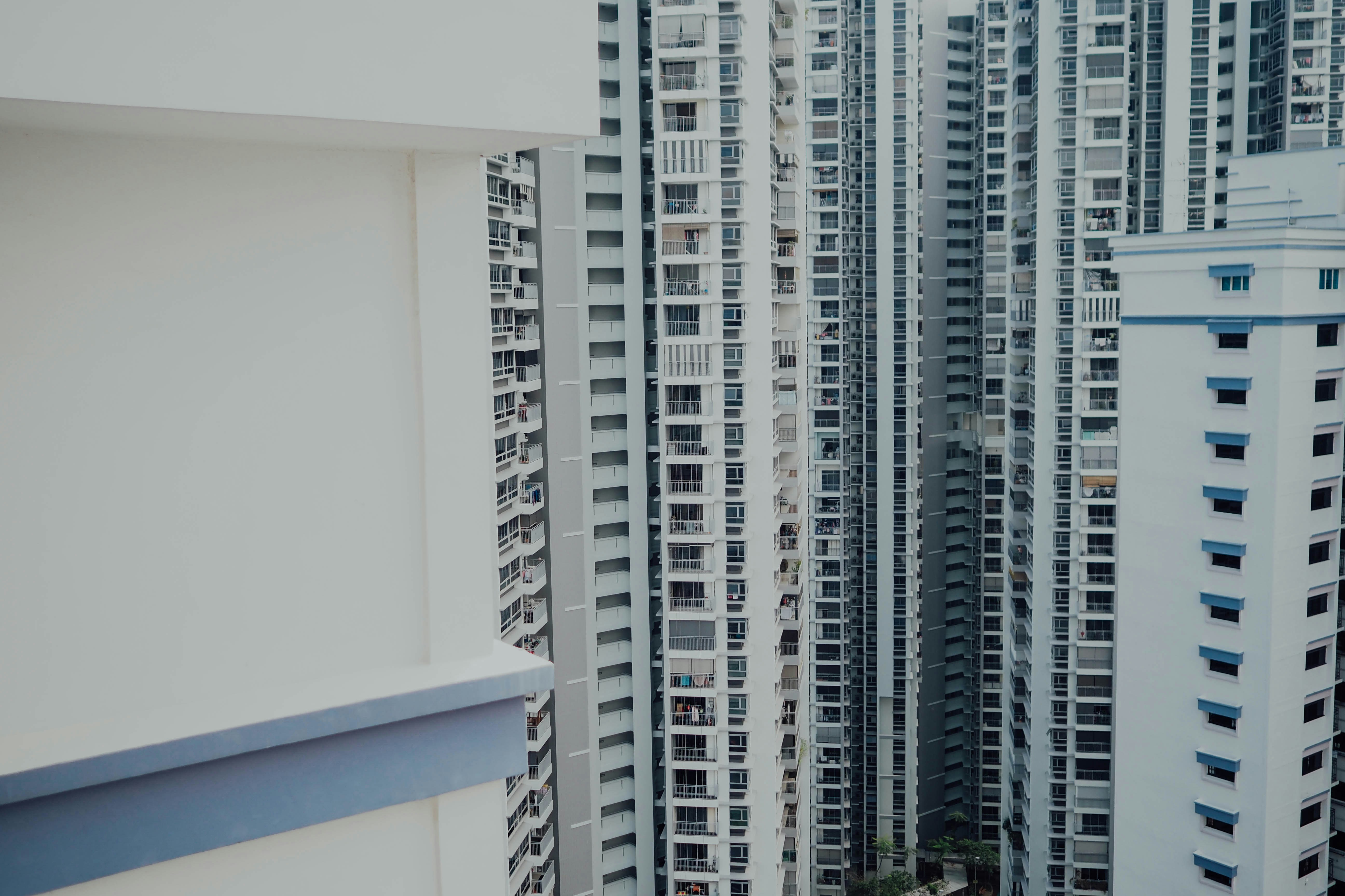 Photo by chuttersnap